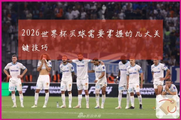 2026世界杯买球需要掌握的几大关键技巧