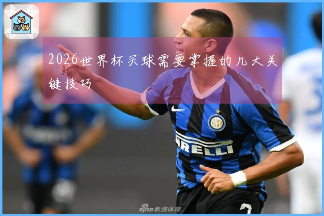 2026世界杯买球需要掌握的几大关键技巧
