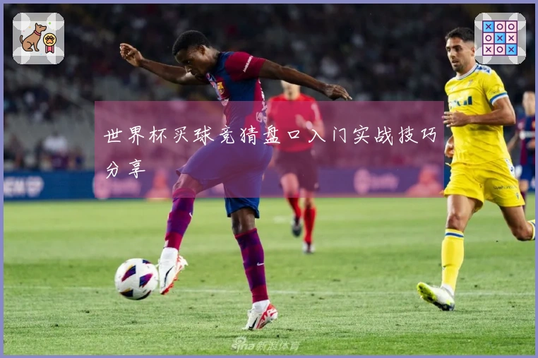 世界杯买球竞猜盘口入门实战技巧分享