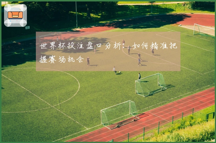 世界杯投注盘口分析：如何精准把握赛场机会