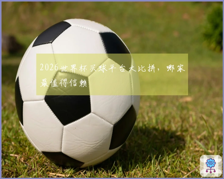 2026世界杯买球平台大比拼，哪家最值得信赖
