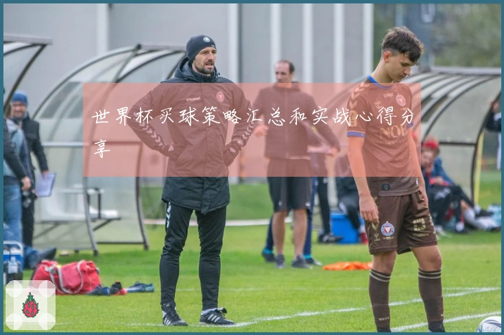 世界杯买球策略汇总和实战心得分享