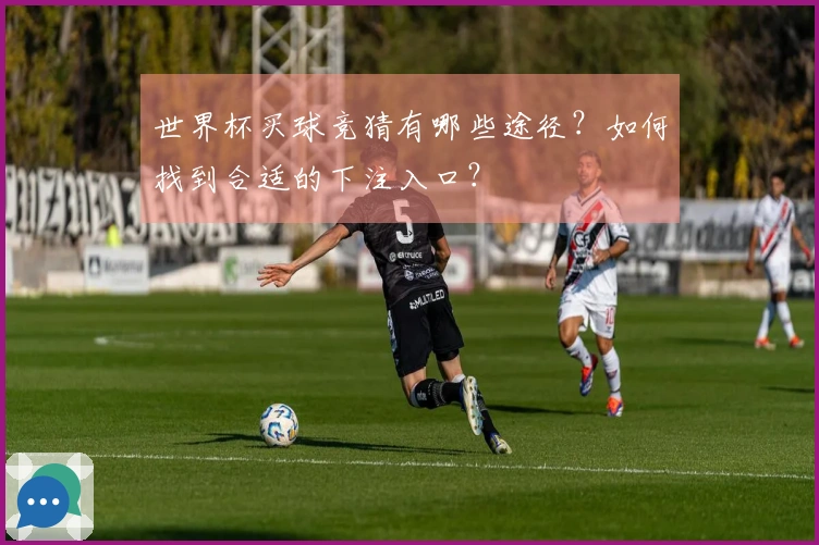 世界杯买球竞猜有哪些途径？如何找到合适的下注入口？