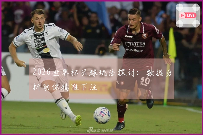 2026世界杯买球玩法探讨：数据分析助你精准下注