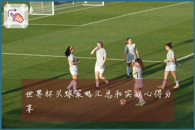 世界杯买球策略汇总和实战心得分享