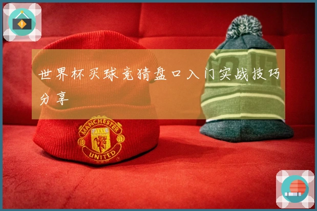 世界杯买球竞猜盘口入门实战技巧分享