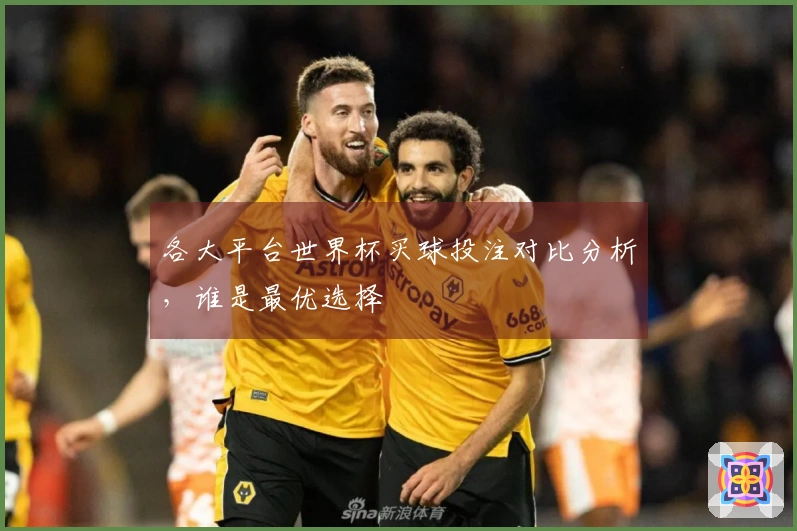 各大平台世界杯买球投注对比分析，谁是最优选择
